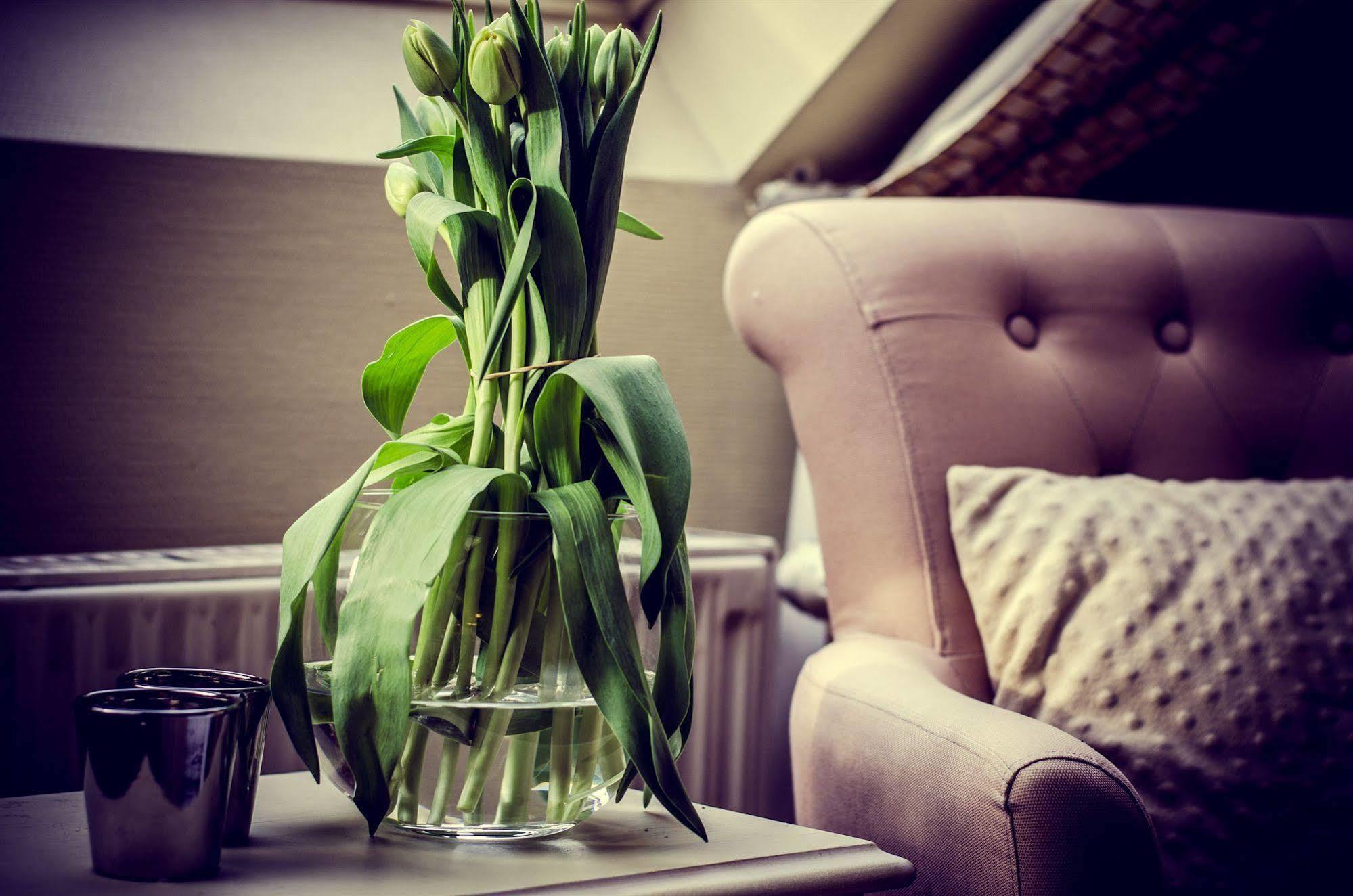 Hotel Botaniek Bruges Luaran gambar